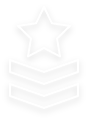 miltary badge icon